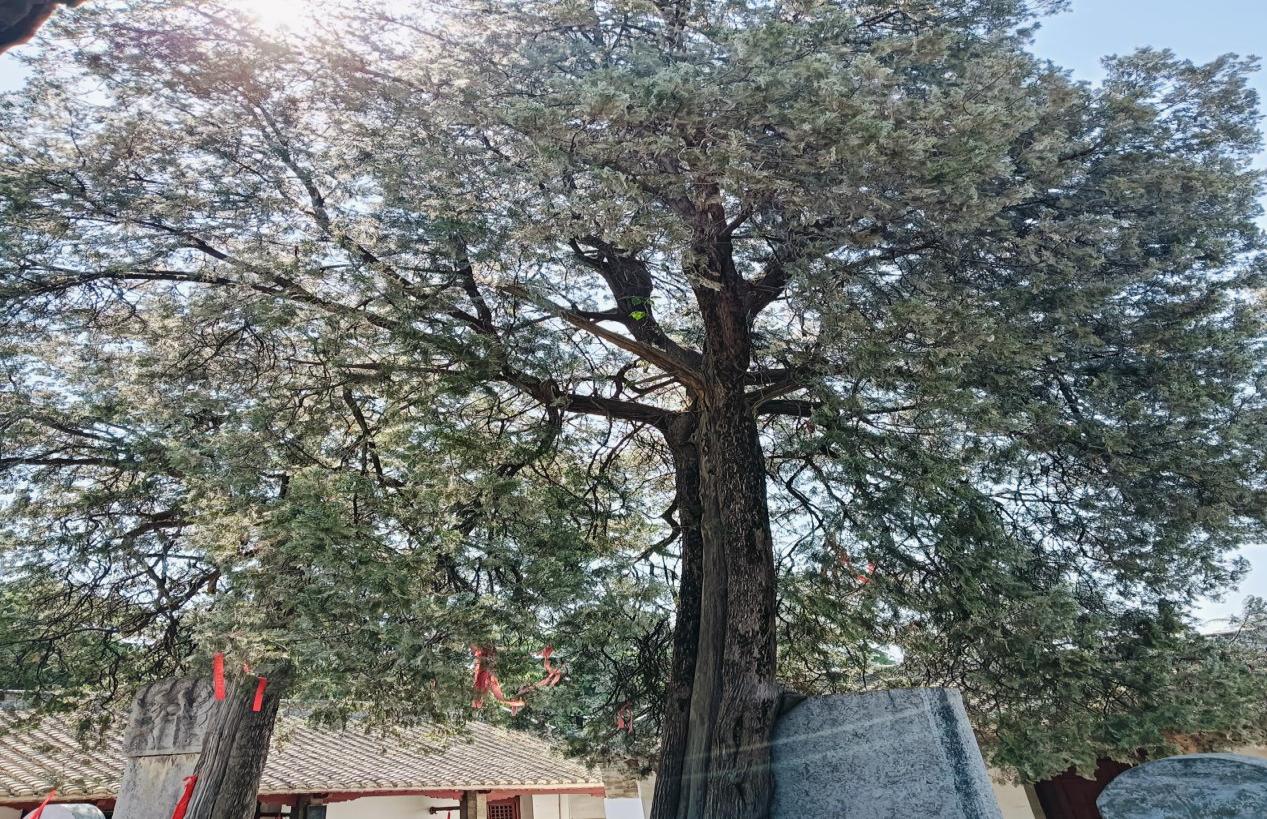 圖片6.jpg